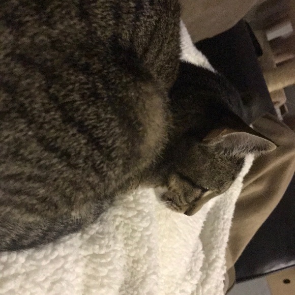 amytmom
